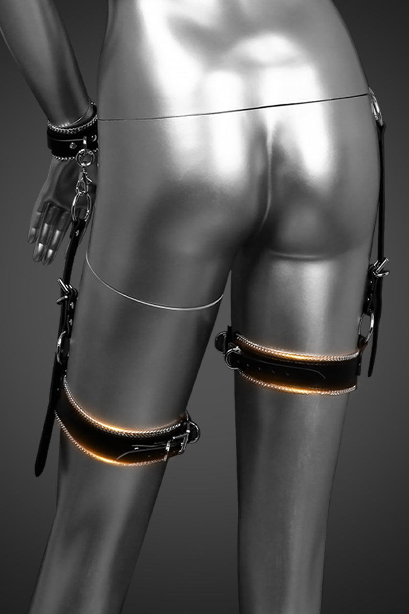 THE SOVEREIGN COLLECTION: LEATHER FULL BODY HARNESS