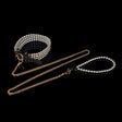 Choker & Leash